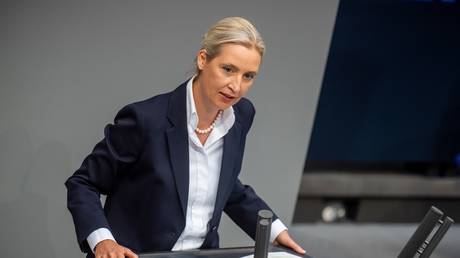 การเลือกตั้งของเยอรมนี: AFD และความสัมพันธ์กับ EU และยูเครน
